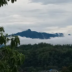 Homestay Jily